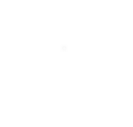 logo wit website